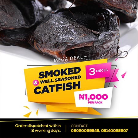 Victor Nwokoye E-Flier design for a smoked catfish business